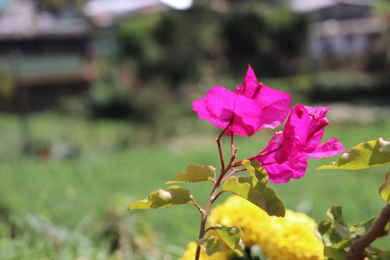 Zion White House Hotel Nuwara Eliya Exterior foto